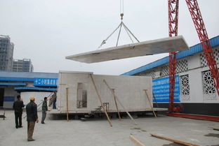 8小时修建180㎡毛坯别墅,成本不到传统建材一半,质量却翻